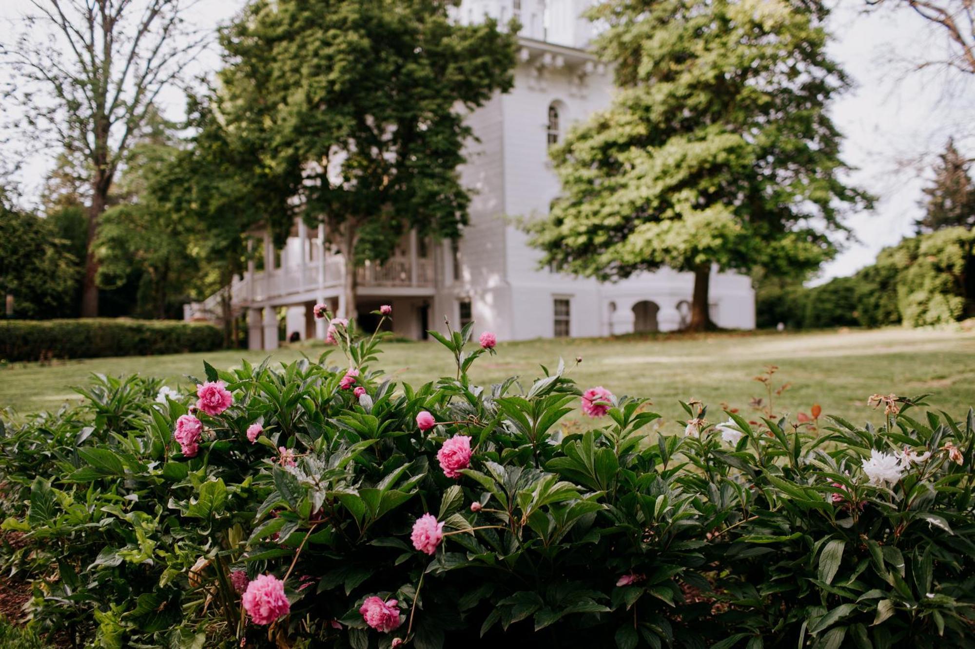 Mayhurst Estate Bed and Breakfast Orange Εξωτερικό φωτογραφία