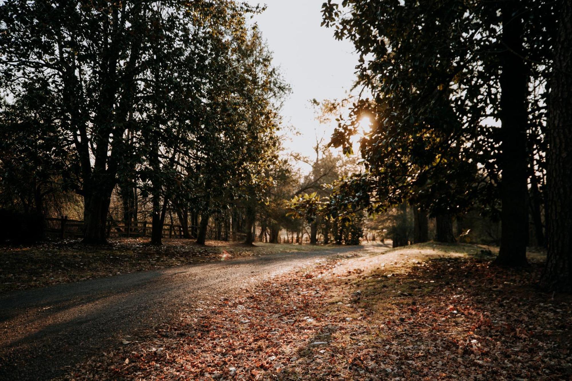 Mayhurst Estate Orange Εξωτερικό φωτογραφία